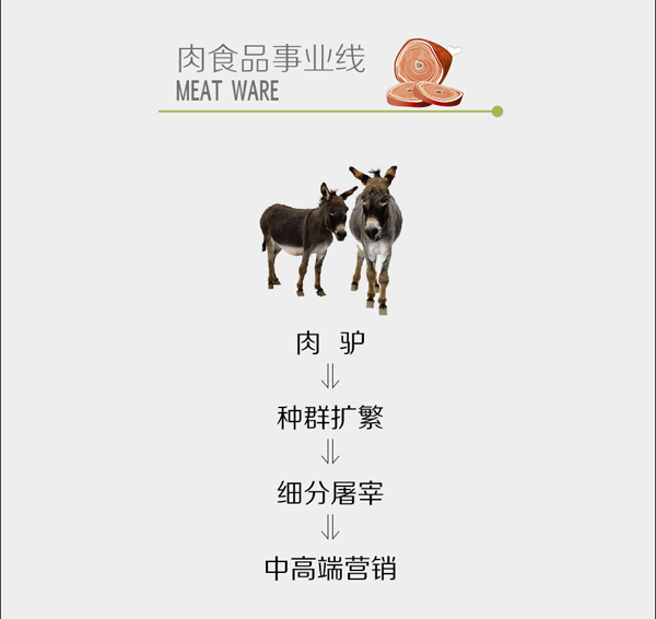 新疆梦驼铃.jpg