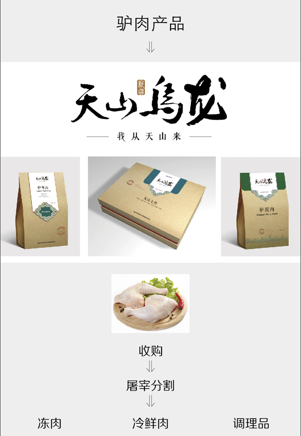 新疆梦驼铃.jpg