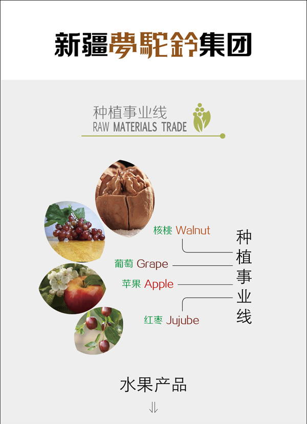 新疆梦驼铃.jpg