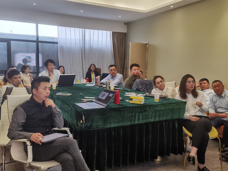 三胖蛋内蒙营销团队进行方案汇报